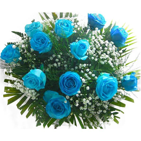 Buquê com 12 Rosas Azuis Cima